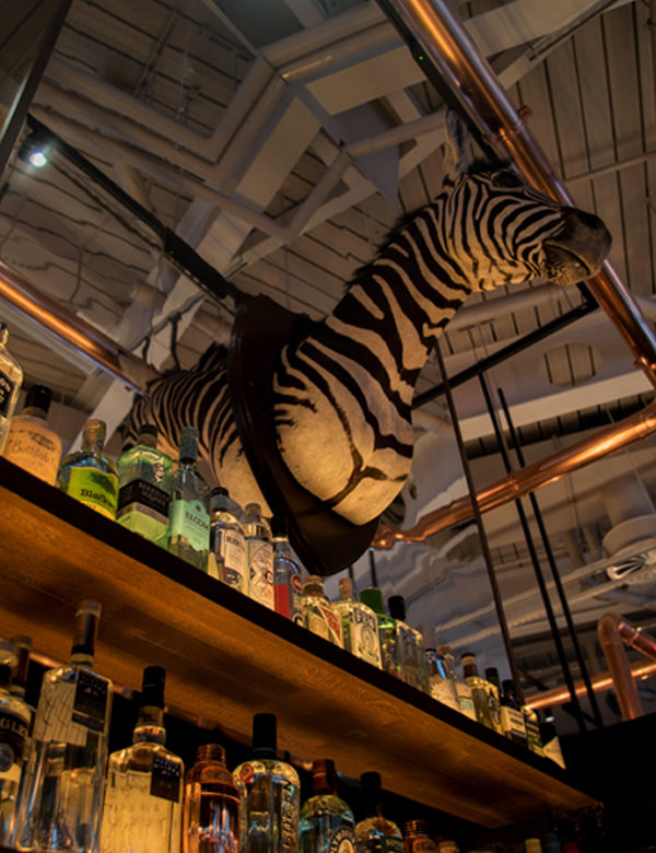 A Zebra looks on above the bar at Greenwood, Nova, Victoria, London. Interiors designed by Russell Sage Studio Ltd.